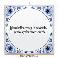 Humor Nl GIF by Tegelspreuken.nl