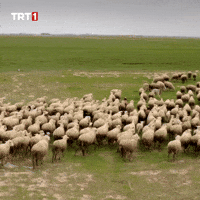 Friends Go GIF by TRT