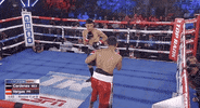 toprank fight boxing fighting champion GIF