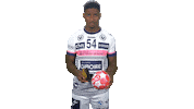 Cessonhandball Sticker by CRMHB
