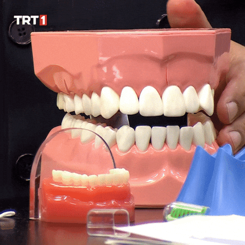 Lips Kiss GIF by TRT