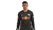 The Wall Win Sticker by RB Leipzig