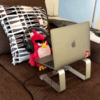 Working Remotely Work From Home GIF by Angry Birds