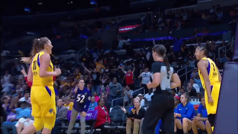 los angeles sparks hype GIF by WNBA