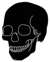 Skull Sca Sticker by Soap Cult Australia