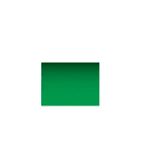 graduation diplome Sticker by Université de Sherbrooke