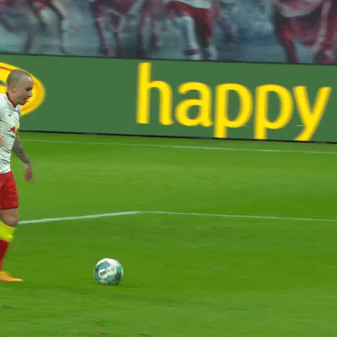 Save 1 Fc Cologne GIF by 1. FC Köln