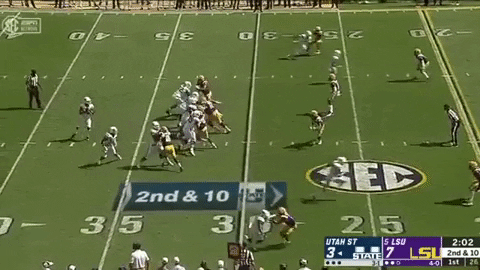 SchaufDS giphygifmaker GIF