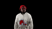 Montreal Canadiens GIF by BDHCollective
