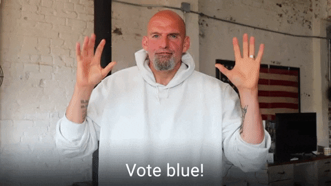 Voting Democratic National Committee GIF by The Democrats