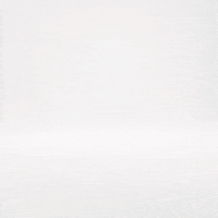 Cat Running GIF by Petsure UK