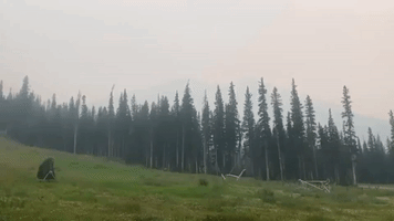 Wildfire Smoke Fills Sky Over South Alberta Amid Air-Quality Concerns