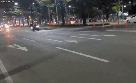 seotor_7 giphyupload GIF