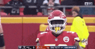 2018 Nfl Football GIF by NFL