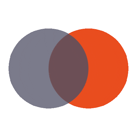 RobinPiek-Videoproducties giphyupload filmmaker logoanimation setlife Sticker