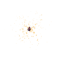 Mintsky Sticker by Instagram Tag In Virtual GIF Booth