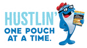 College Working Sticker by StarKistCharlie