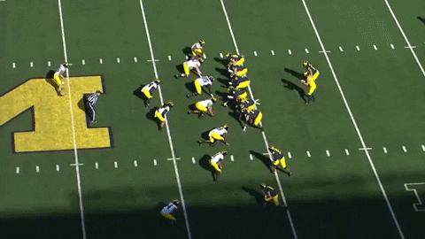 orionsang giphygifmaker michigan football dfp GIF