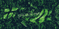 chi mai GIF by A.M.T.G. G.G.