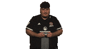 Fifa What Sticker by Bundesliga
