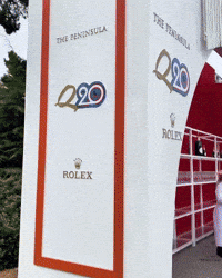 Cute Puppy Kroshka GIF