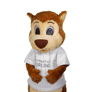 universityofstirling happy win winning success Sticker