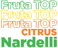 Frutas Sticker by Citrus Nardelli