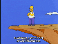 homer simpson GIF