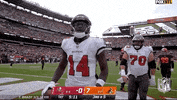 Chris Godwin Football GIF by NFL