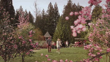 cherry blossoms hallmarkies GIF by Hallmark Channel