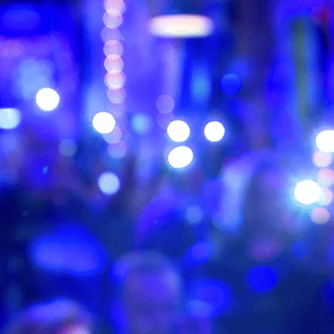 top 2000 GIF by NPO Radio 2