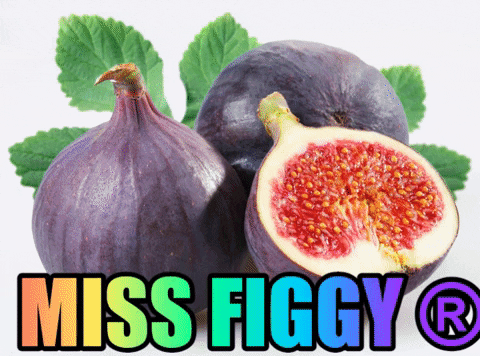 EfecantarimMissFruits giphygifmaker missfiggy missfruits black fig GIF