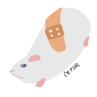 angry pet Sticker by sophiewetterich