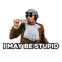 Im An Idiot Sticker
