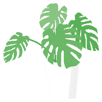 Flower Spring Sticker