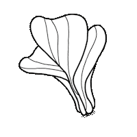 Plant Line Sticker