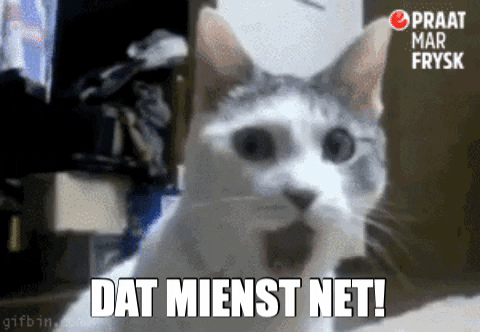 Mienst Net GIF by Praat mar Frysk