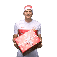Mario Gomez Christmas Sticker by VfB Stuttgart