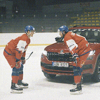 SKODACZ fun car hockey win GIF