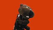 Oregon State Osu GIF by Oregon State University