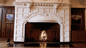 Oregon State Osu GIF by Oregon State University