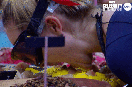 imacelebrityau GIF by I'm A Celebrity... Get Me Out Of Here! Australia
