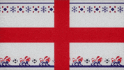 Football Christmas GIF by Three Lions