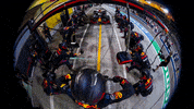 Red Bull Mexico GIF by Red Bull Racing Honda