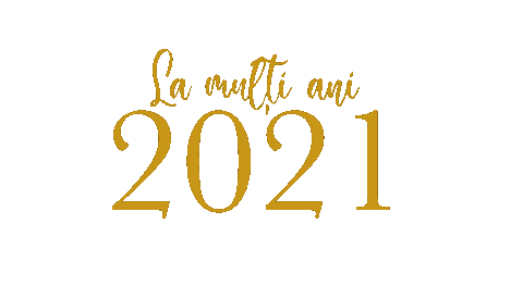 New Year Fireworks Sticker