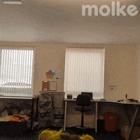 Pop Bounce GIF by Molke