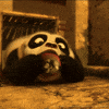 Happy Kung Fu GIF by DreamWorks Animation