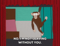 GIF by South Park 