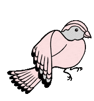 Birdies fashion style shoes comfort Sticker
