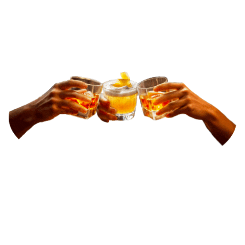 mesicwhisky giphyupload drink jaegermeister mesicwhisky Sticker